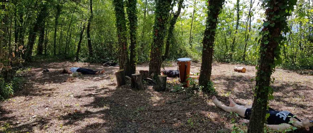 Ritiro di meditazione attiva nel bosco forest bathing shinrin yoku bagno di foresta Vipal B&B & Meditation Center Zorba il Buddha Passerano Marmorito (AT)