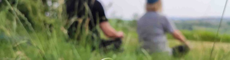 Ritiro Meditazione Nel Bosco