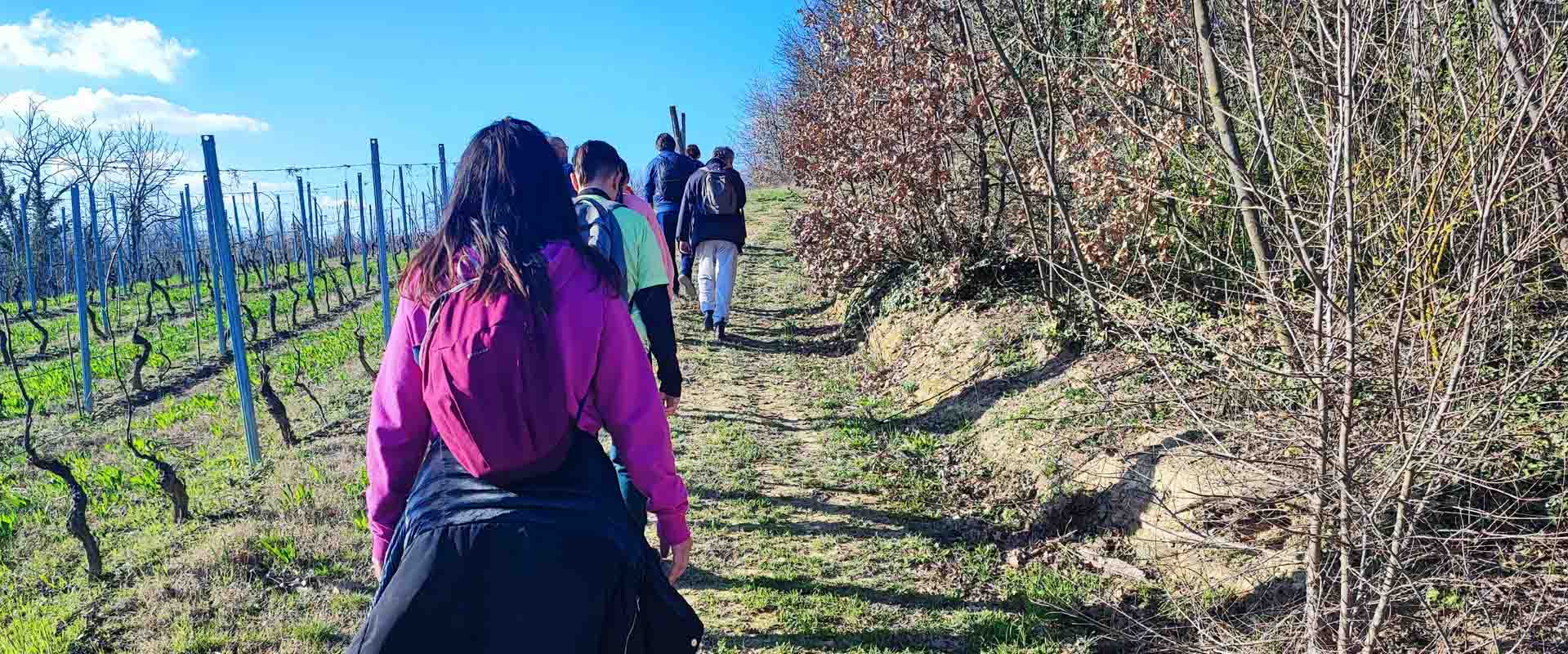 19-20 Ottobre Ritiro Di Meditazione Camminata: Il Pellegrino Interiore Sul Sentiero Della Ricerca Camminando Vivendo Nel Presente Percorso Shinrin Yoku Il Bagno di Foresta Tecniche Bodhi Vipal®