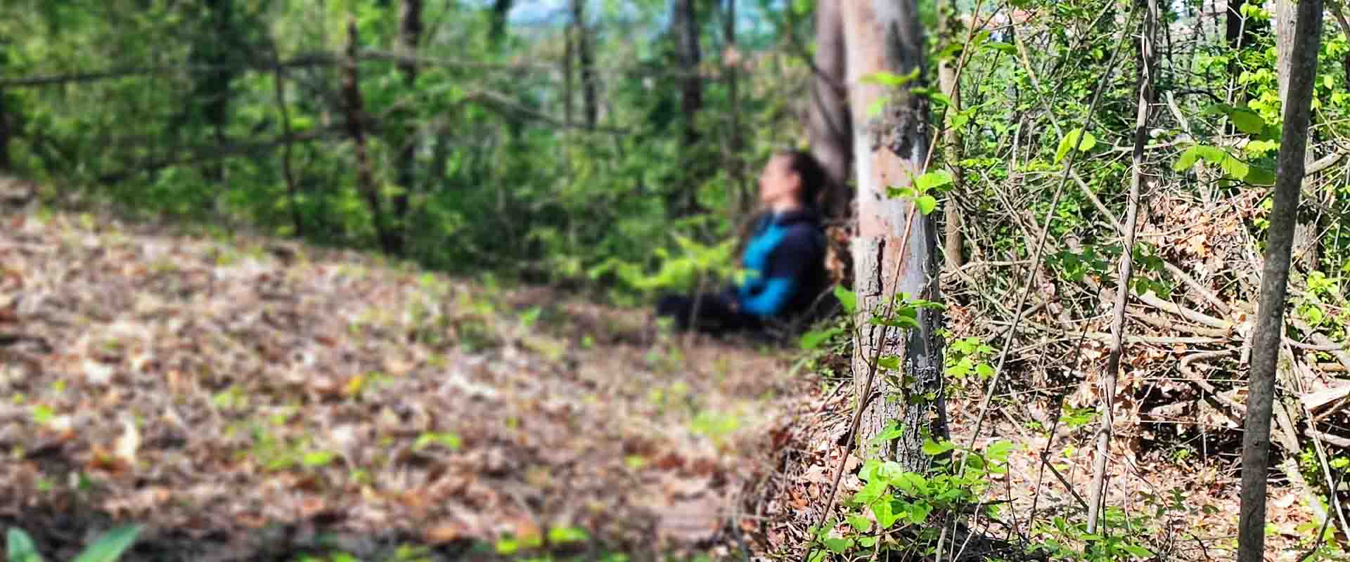 1-2-3 Novembre Il Silenzio Ritiro Intensivo Di Meditazione Bodhi Vipal® Momento Di Consapevolezza La Via Del Risveglio Interiore – Condotto Da Vipal